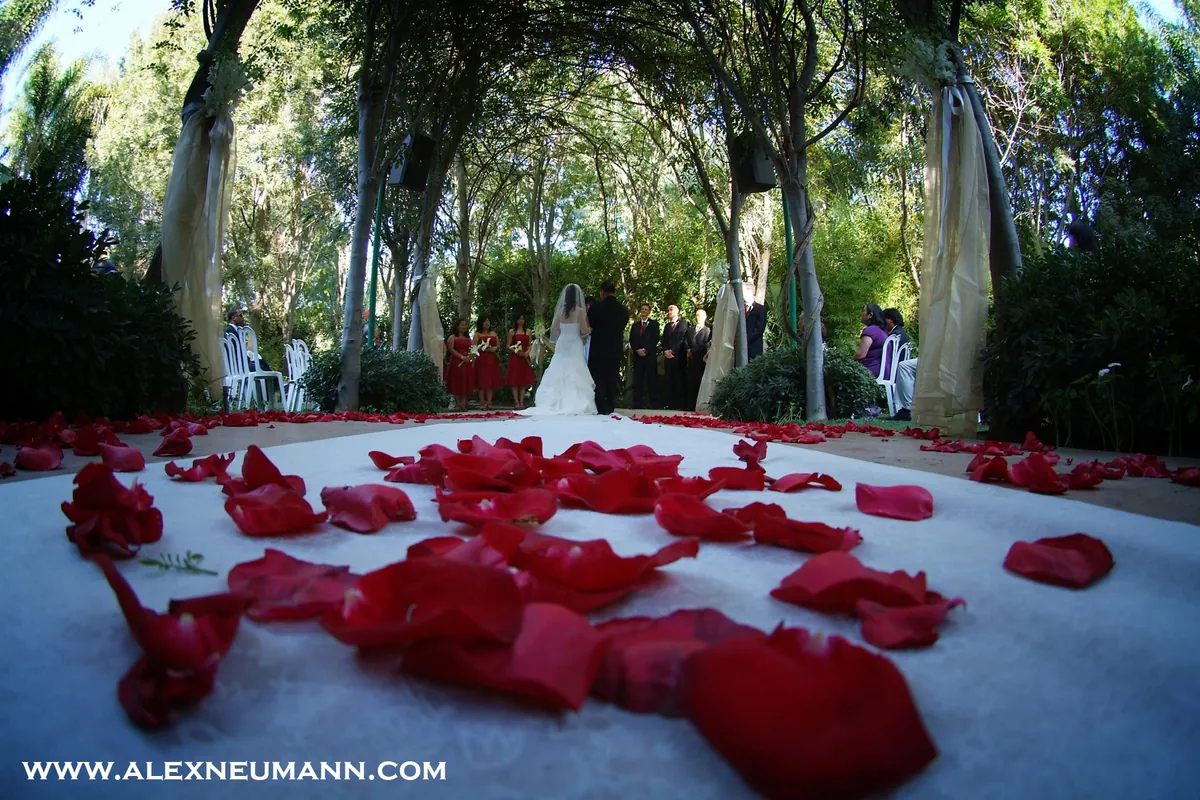 A rose-petal aisle under a canopy of trees, with the ceremony at the far end.