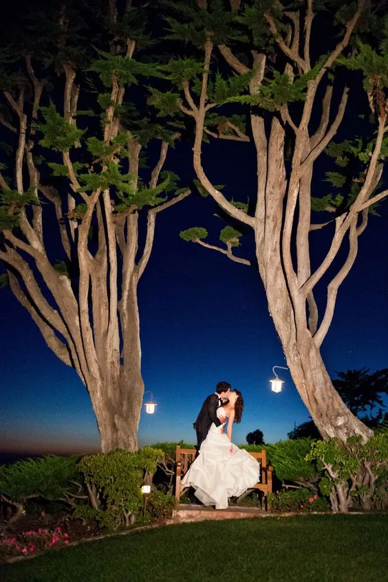 A bride and groom kissing under tall cypress trees at dusk, lit by a single lantern.